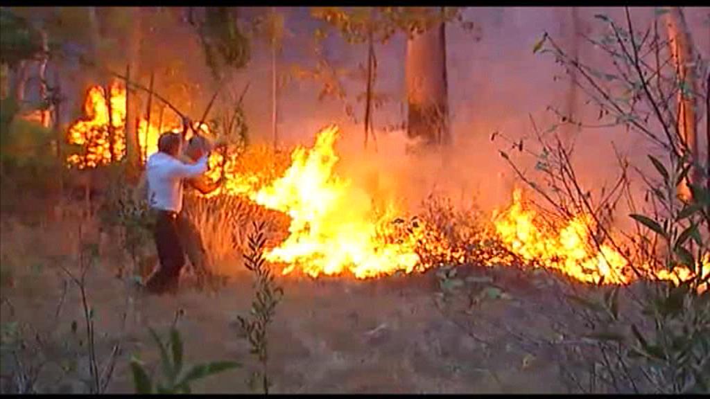 Vídeo: Al menos 38 muertos y 55 heridos en los incendios de Portugal ...