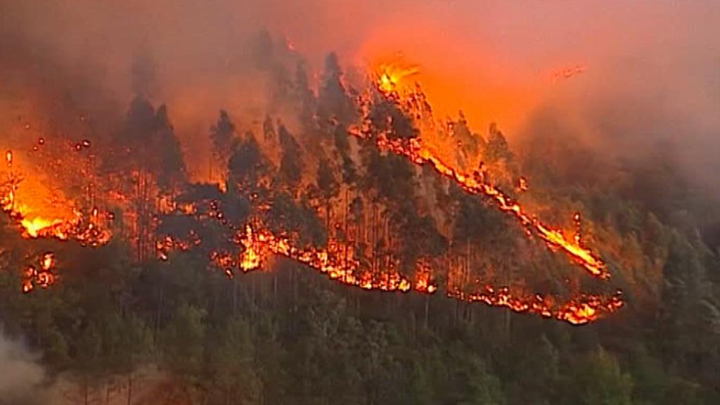 Vídeo: Incendios en Portugal octubre 2017: al menos 38 muertos en incendios