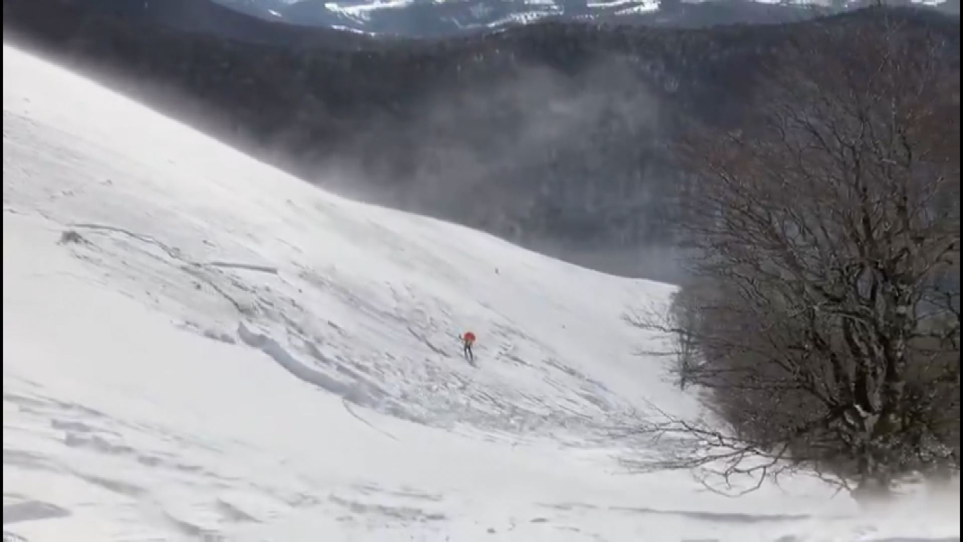 Vídeo: Un esquiador es sorprendido por una avalancha en Lepoeder | ORAIN