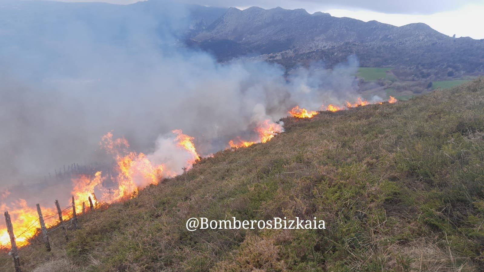 Un incendio quema una zona de monte bajo en Karrantza | ORAIN