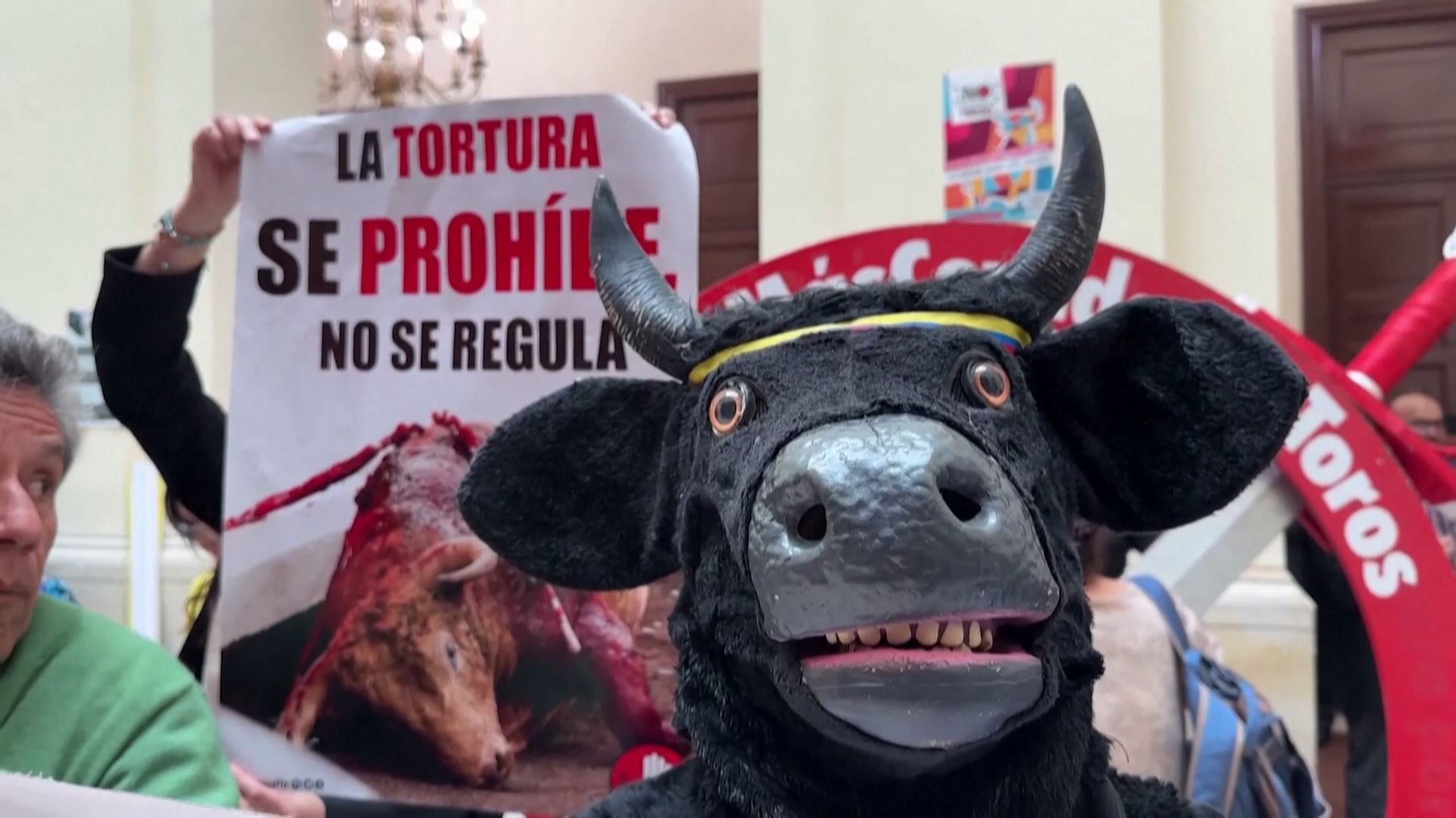 Vídeo: Colombia aprueba un proyecto de ley que prohíbe las corridas de ...