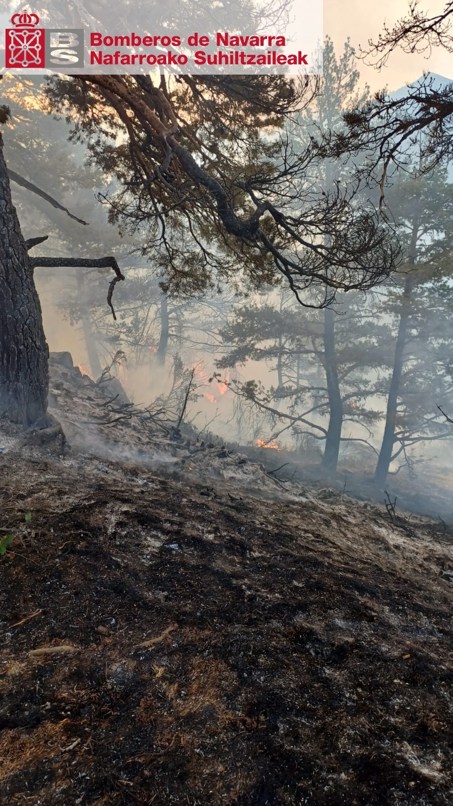 Nether Incendio Se reactiva el incendio forestal declarado en Urzainqui